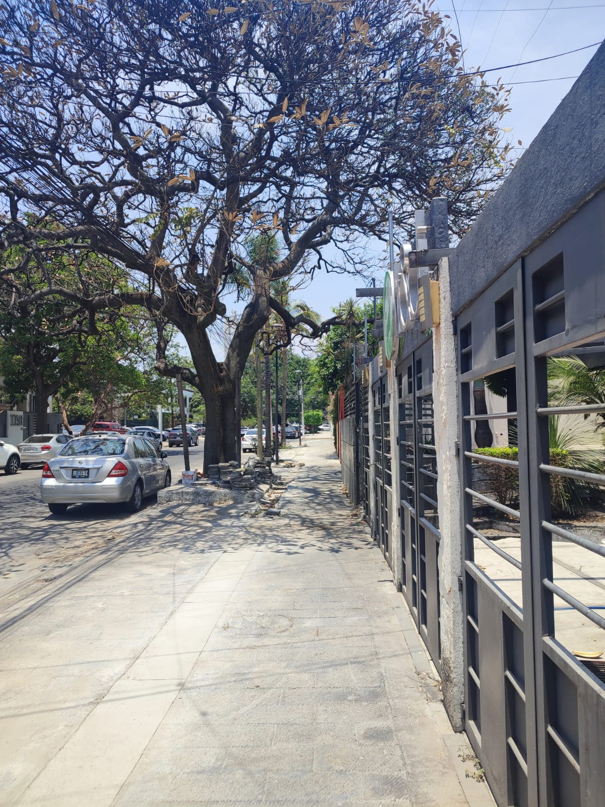 Imagen del proyecto