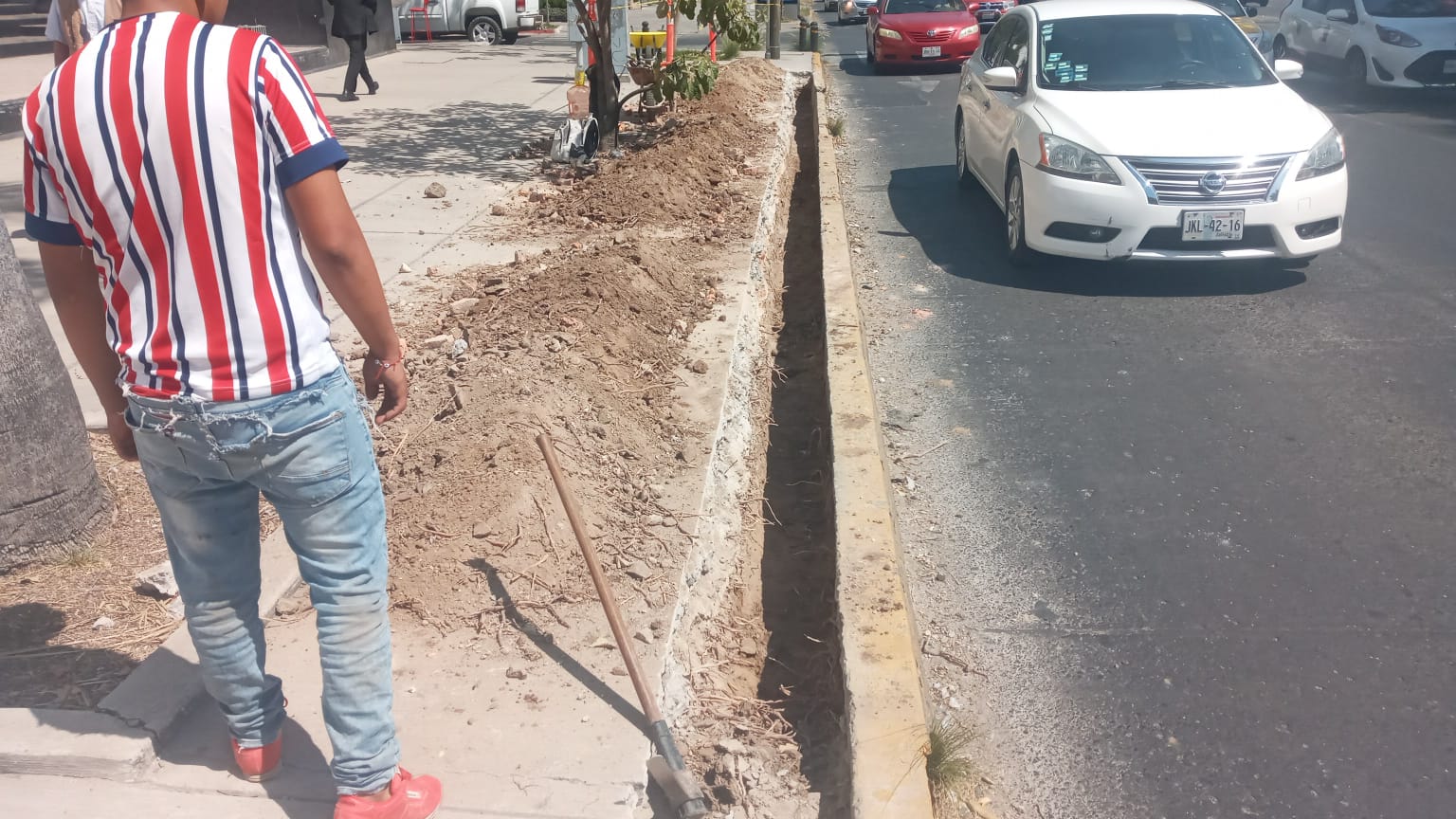 Imagen del proyecto