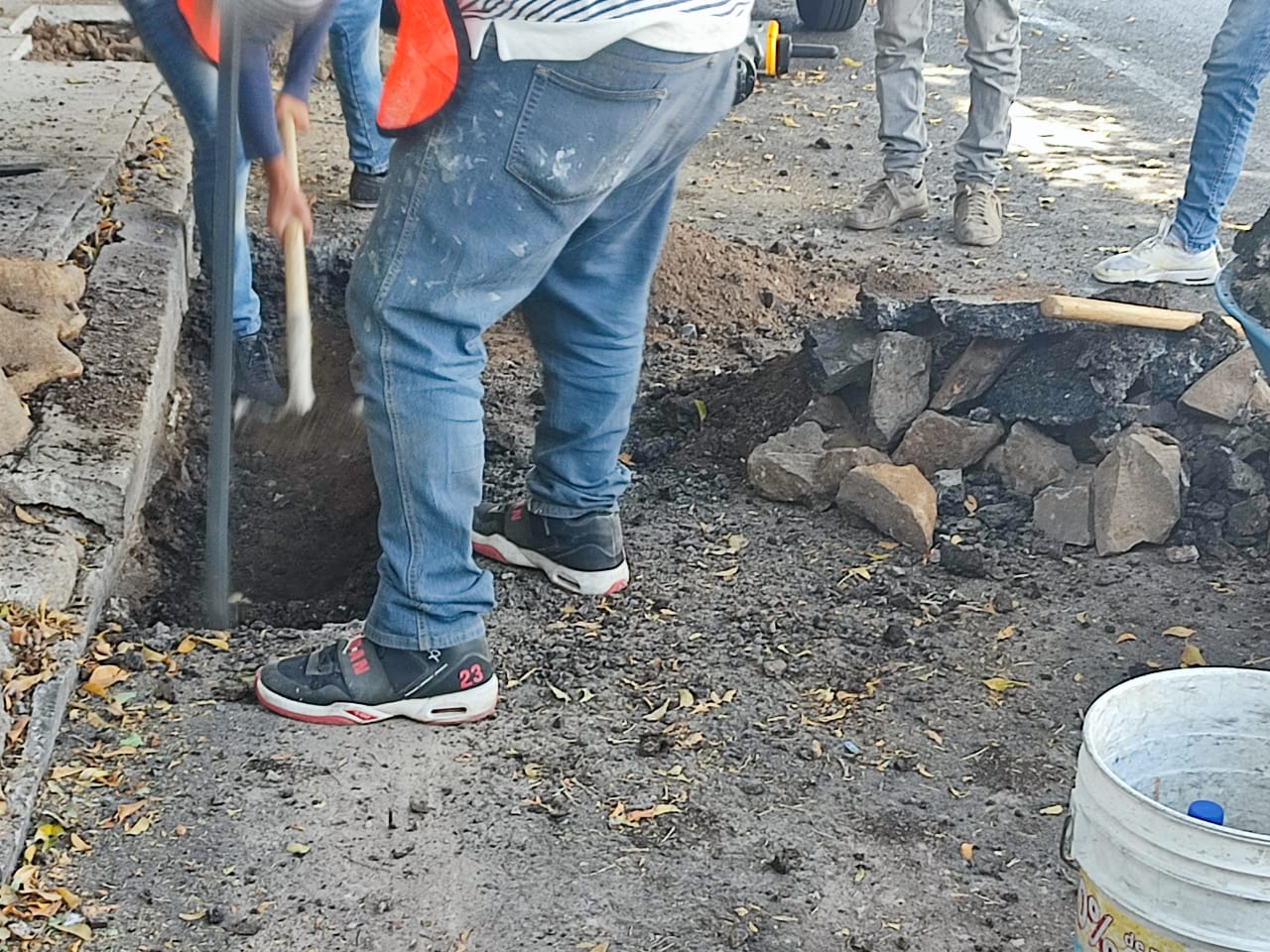 Imagen del proyecto