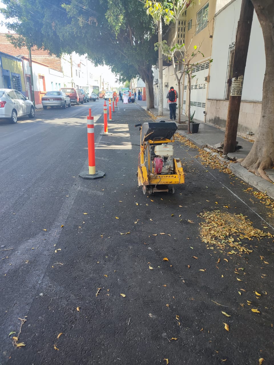 Imagen del proyecto