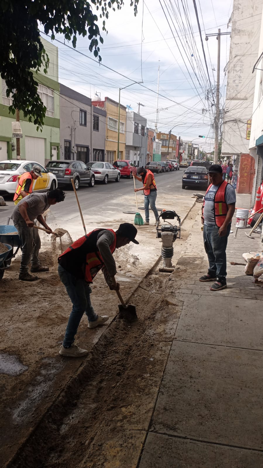 Imagen del proyecto