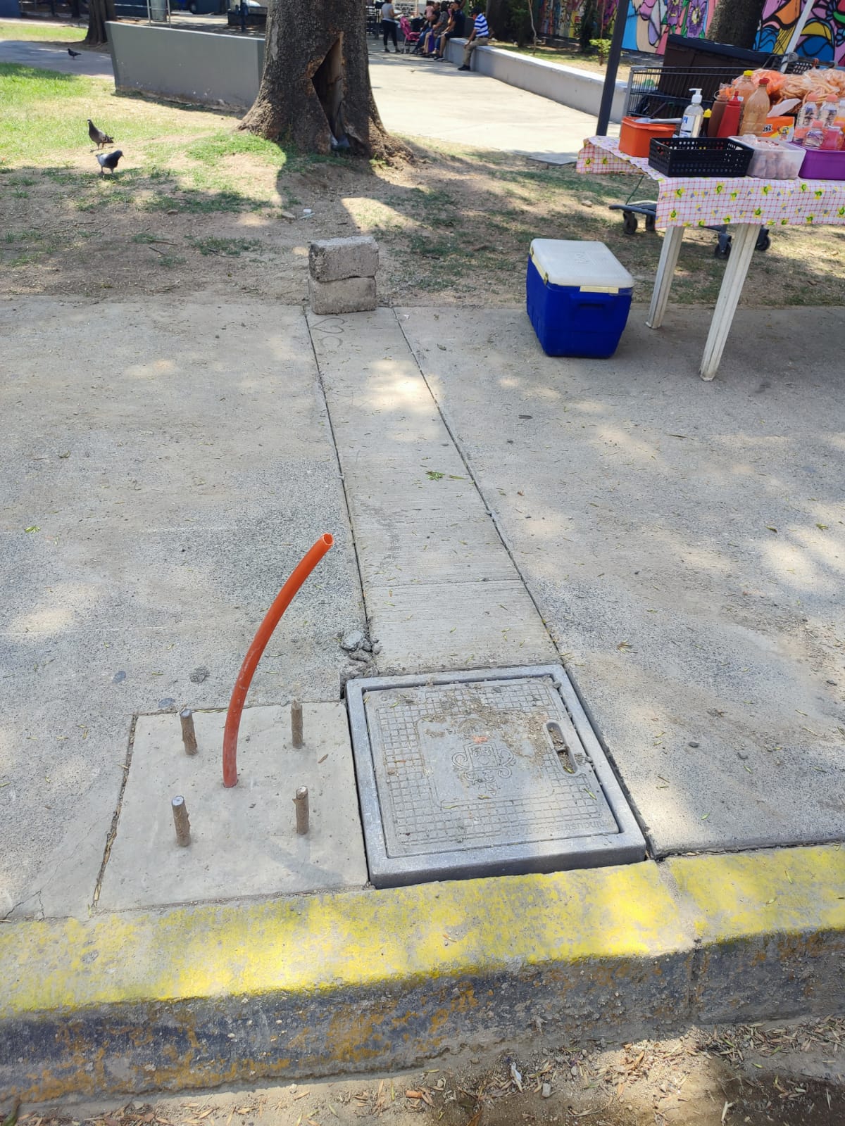 Imagen del proyecto