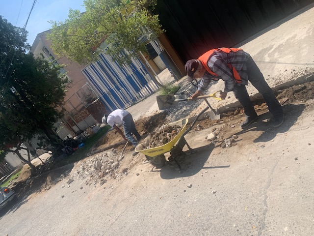 Imagen del proyecto