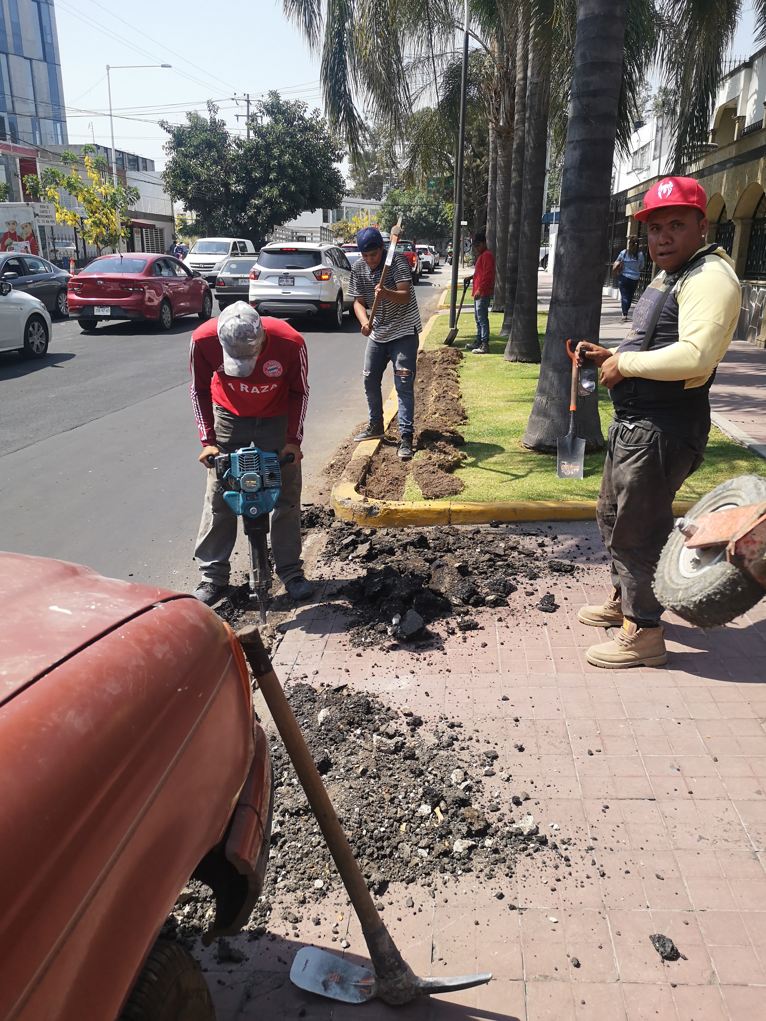 Imagen del proyecto