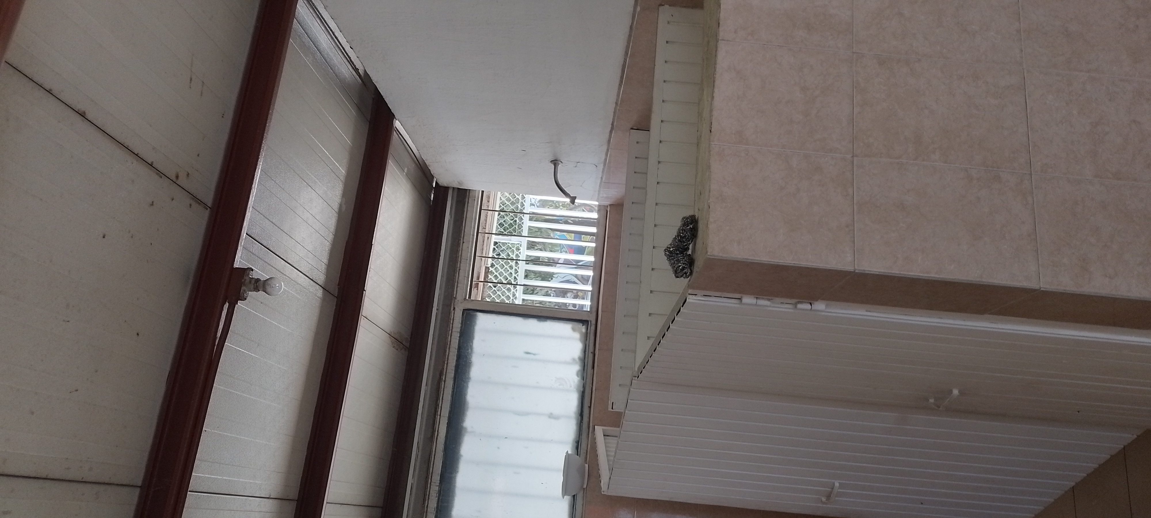 Imagen del Proyecto