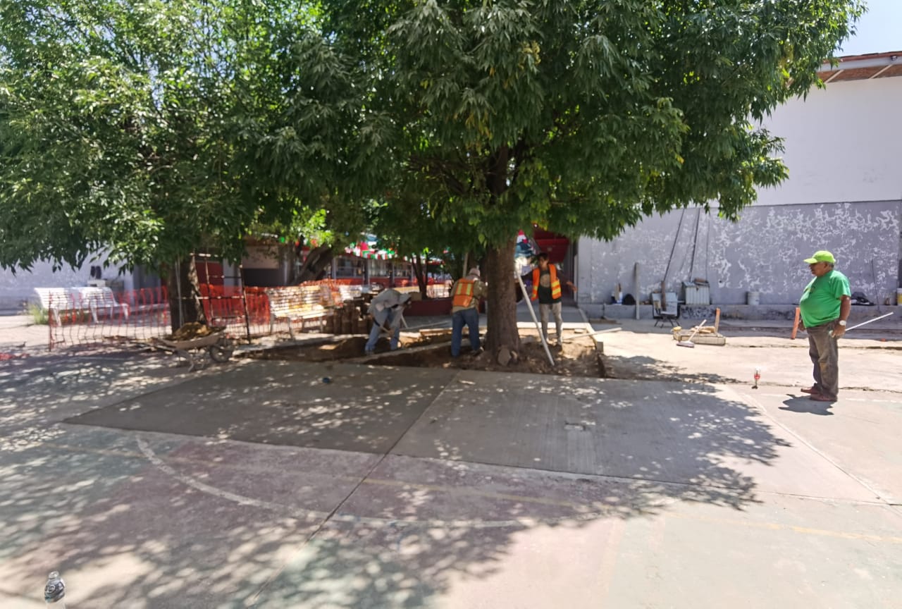 Imagen del proyecto