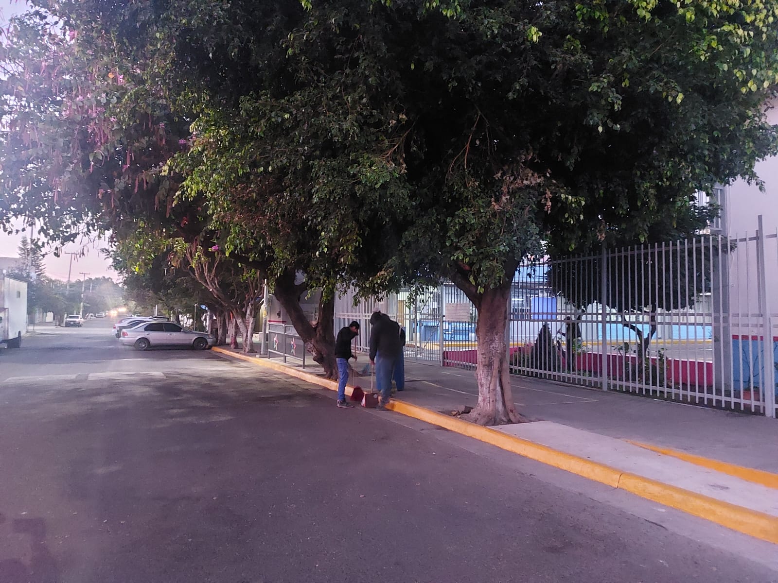 Imagen del Proyecto