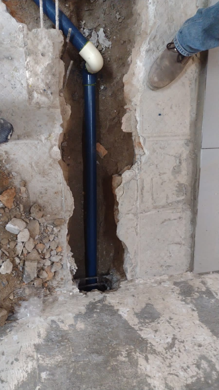 Imagen del proyecto