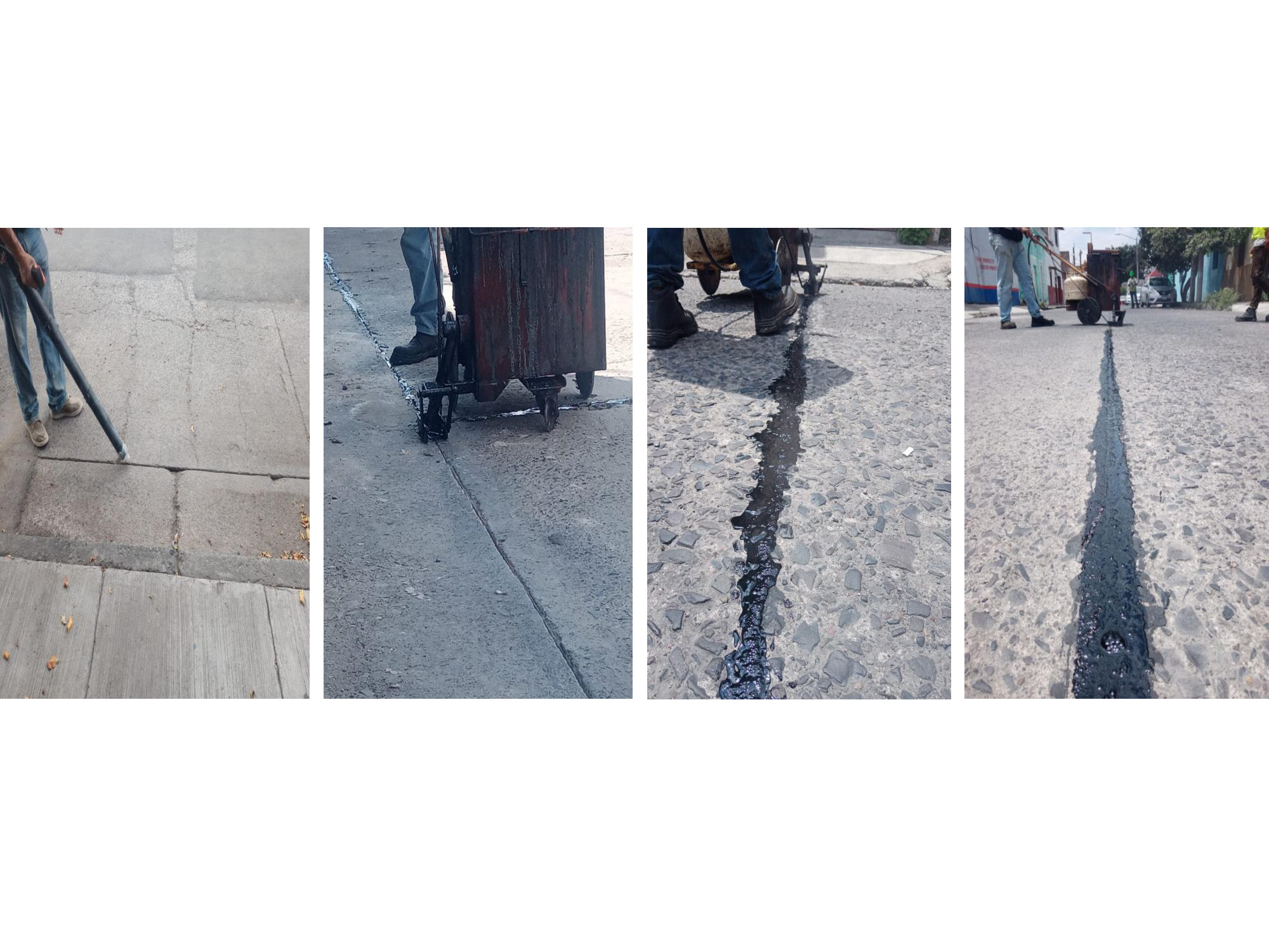 Imagen del proyecto
