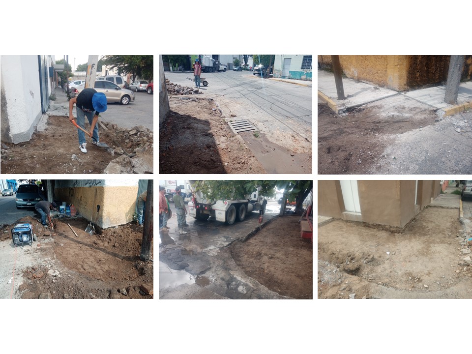 Imagen del proyecto