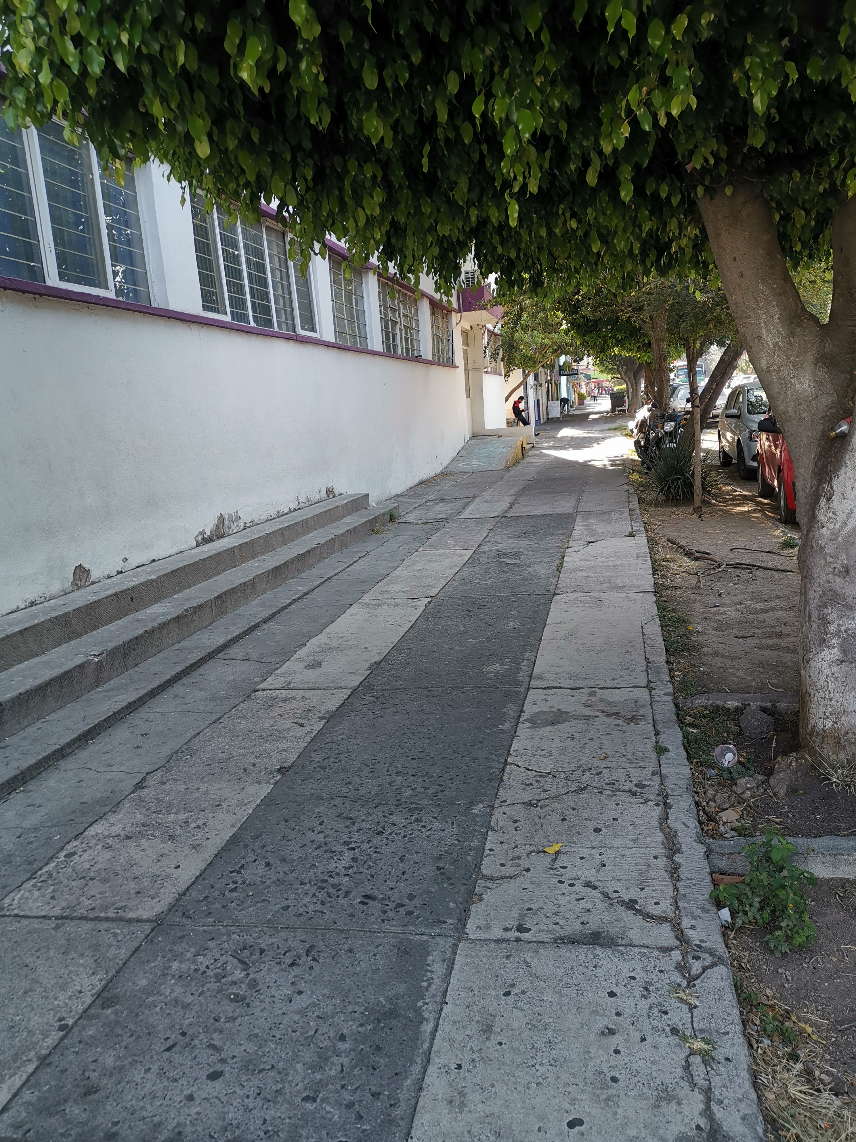 Imagen del proyecto