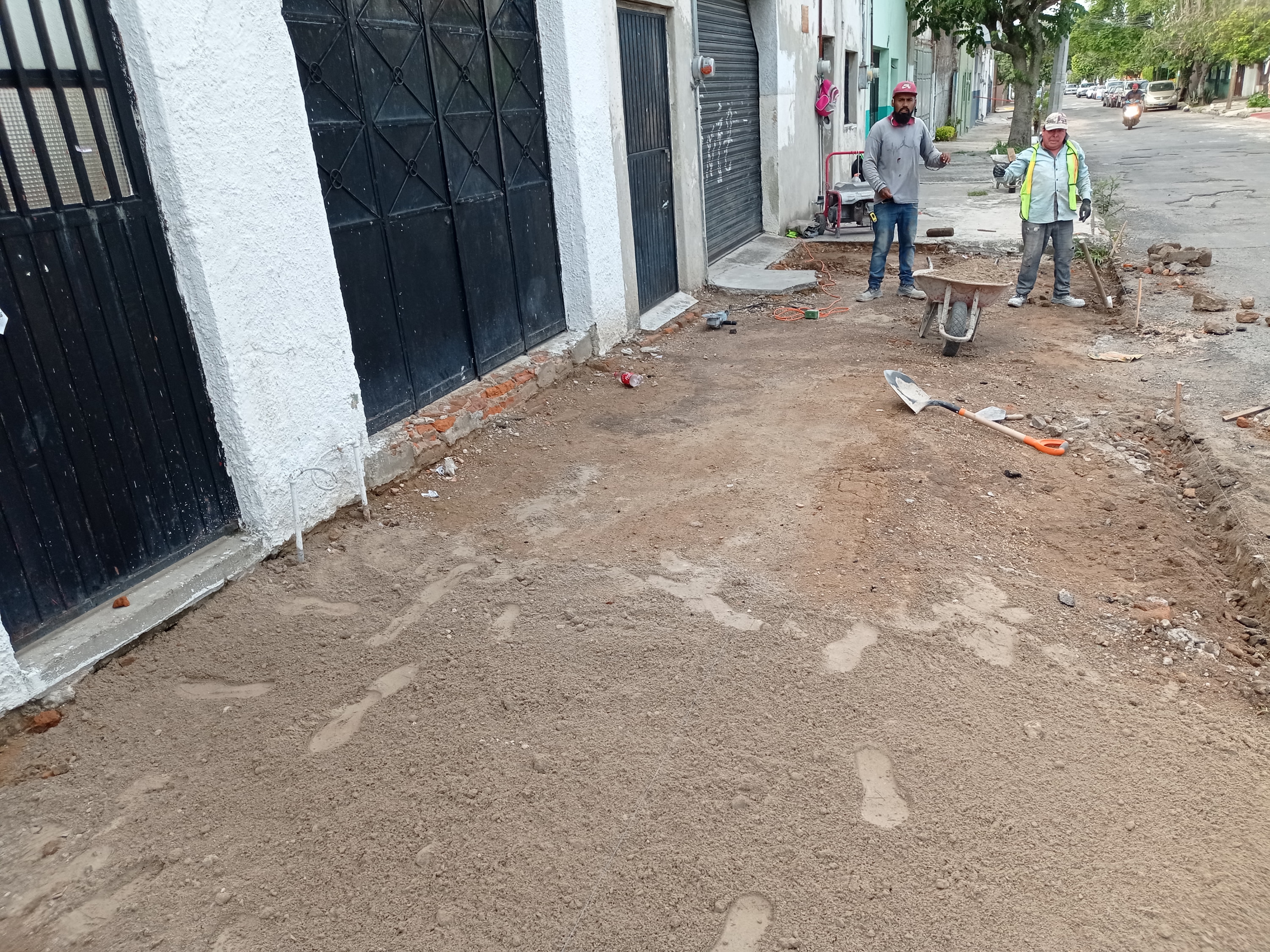 Imagen del proyecto