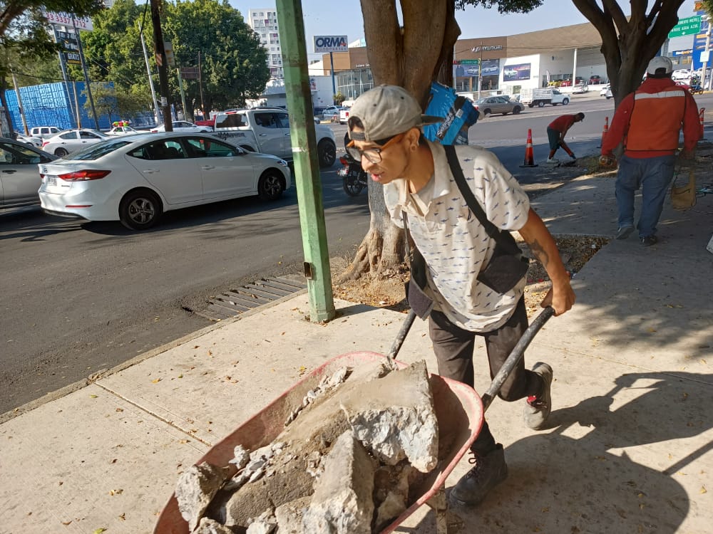 Imagen del proyecto