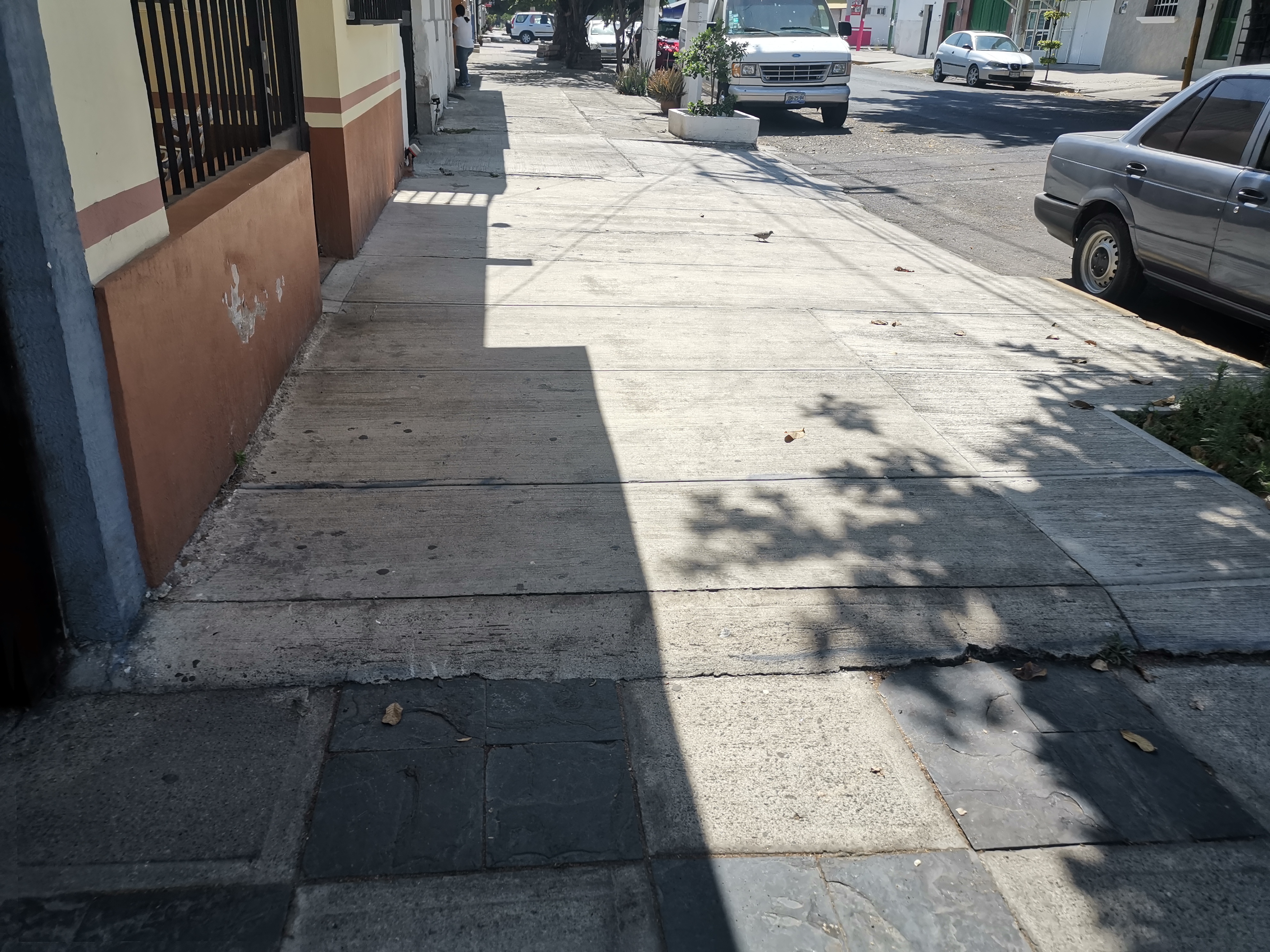 Imagen del proyecto