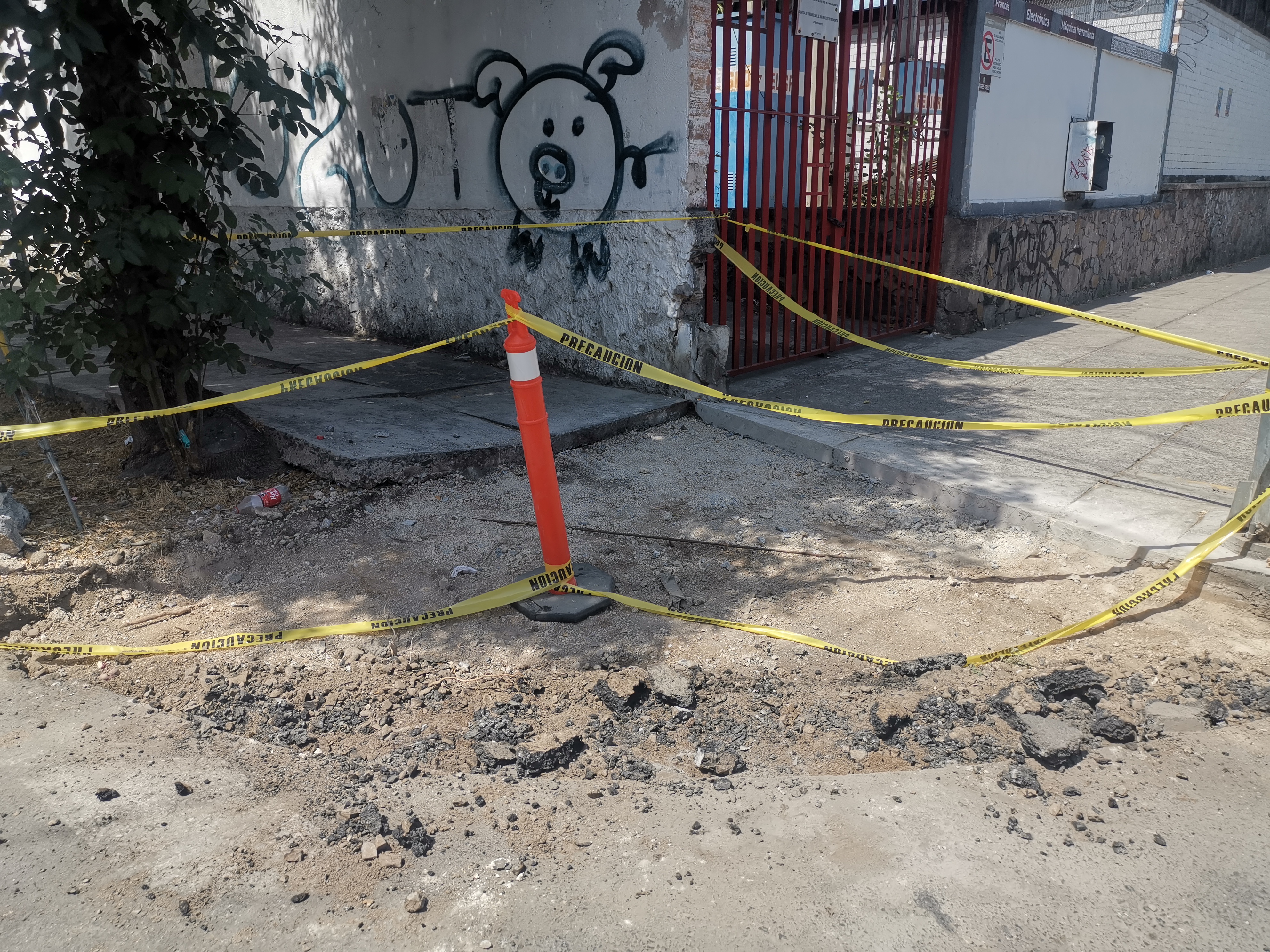 Imagen del proyecto