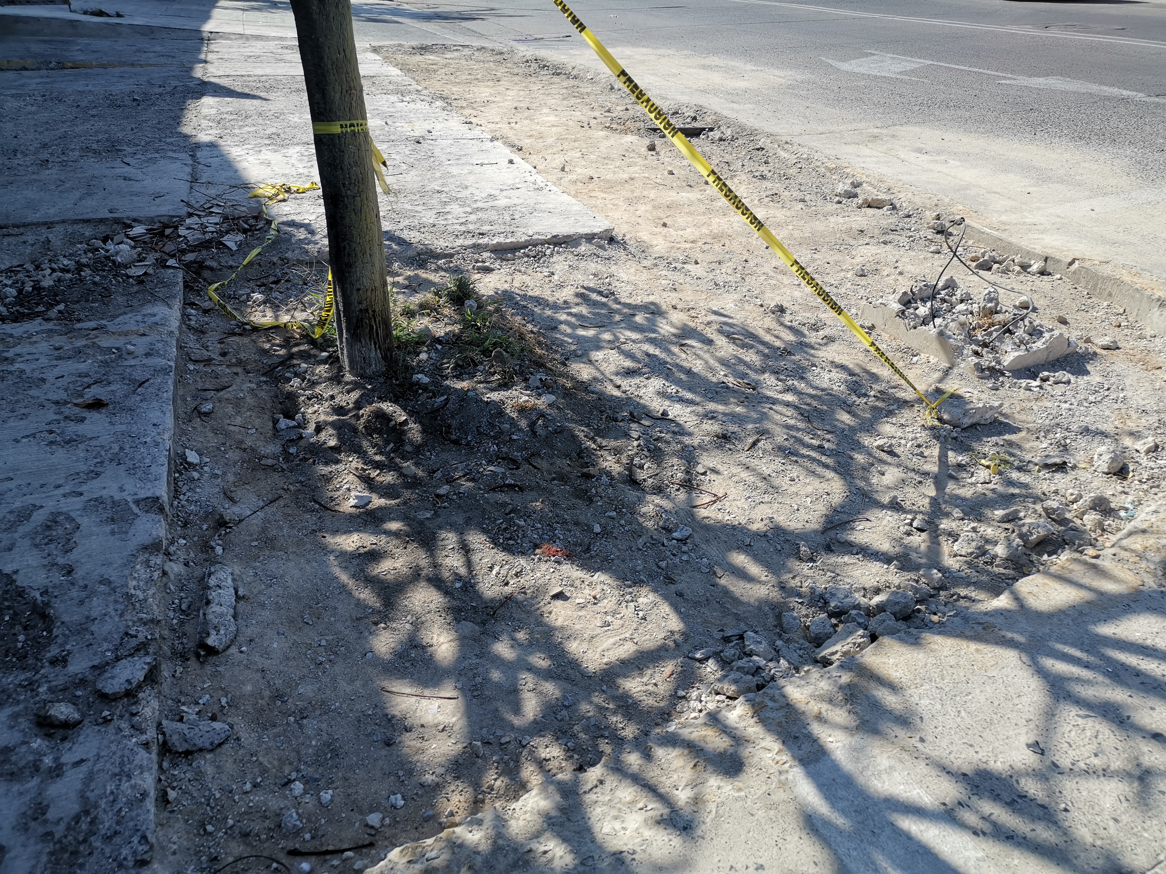 Imagen del proyecto