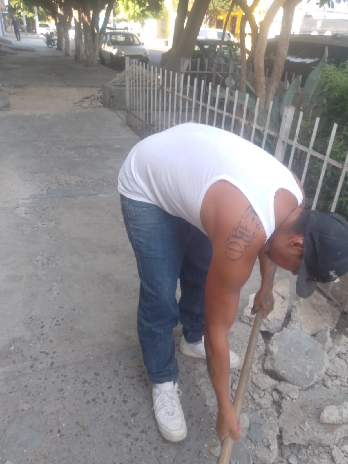 Imagen del proyecto
