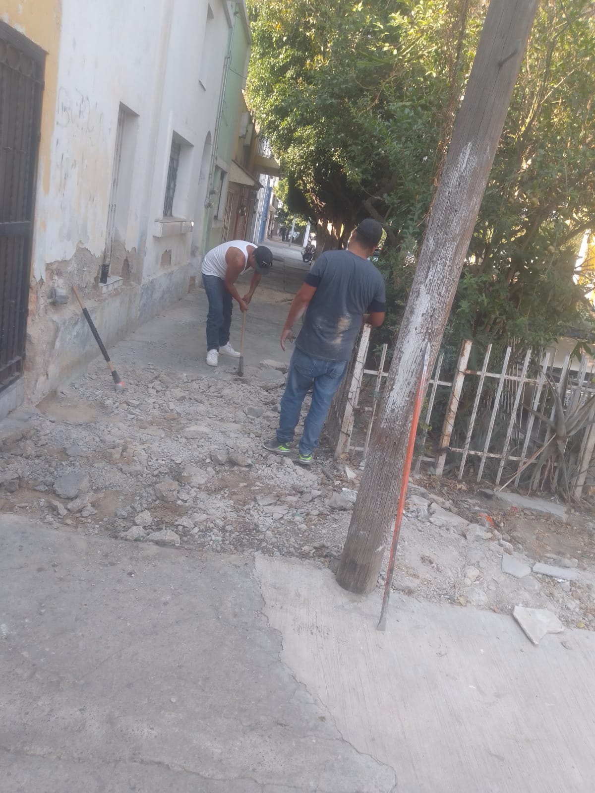 Imagen del proyecto