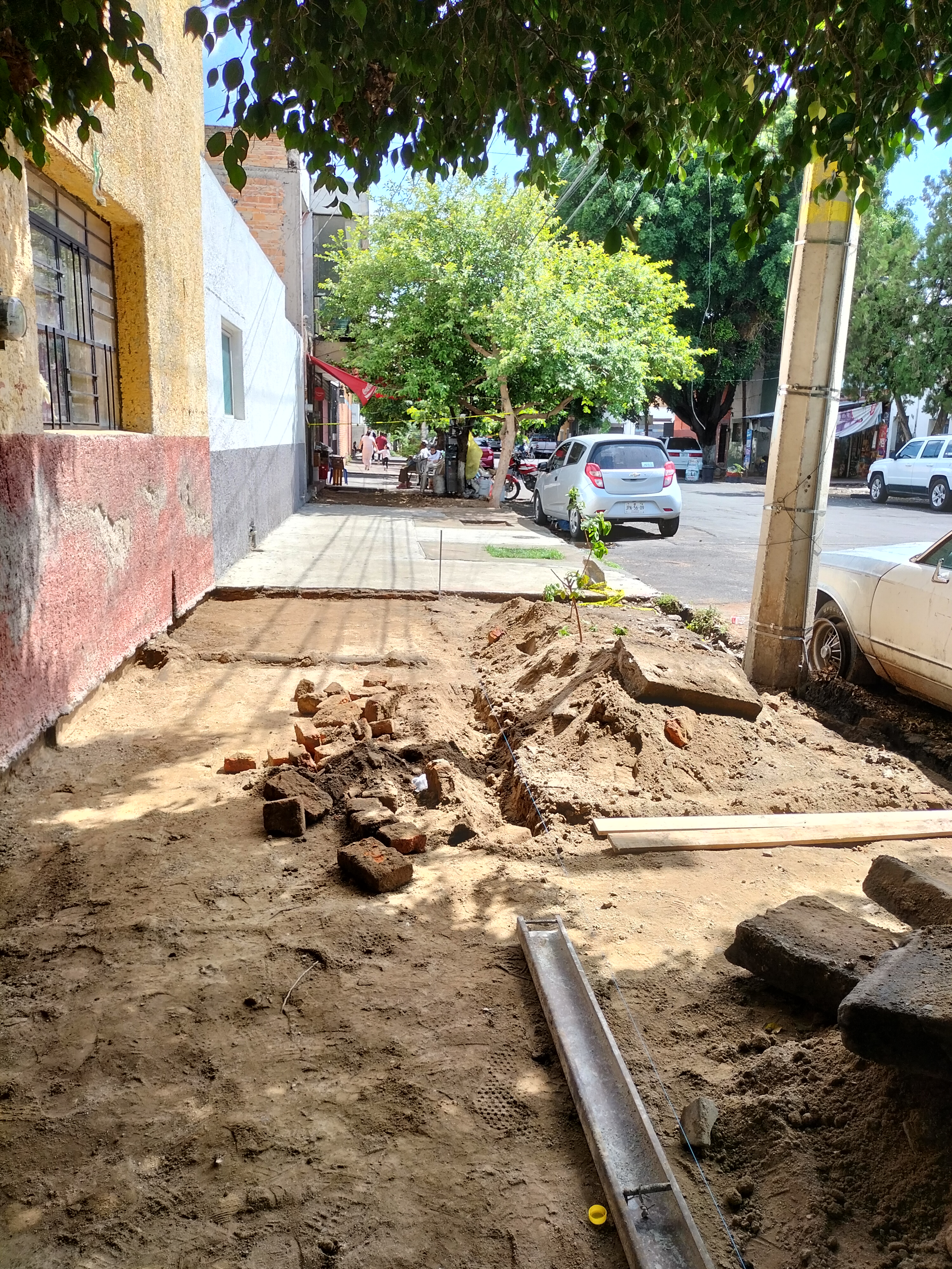 Imagen del proyecto