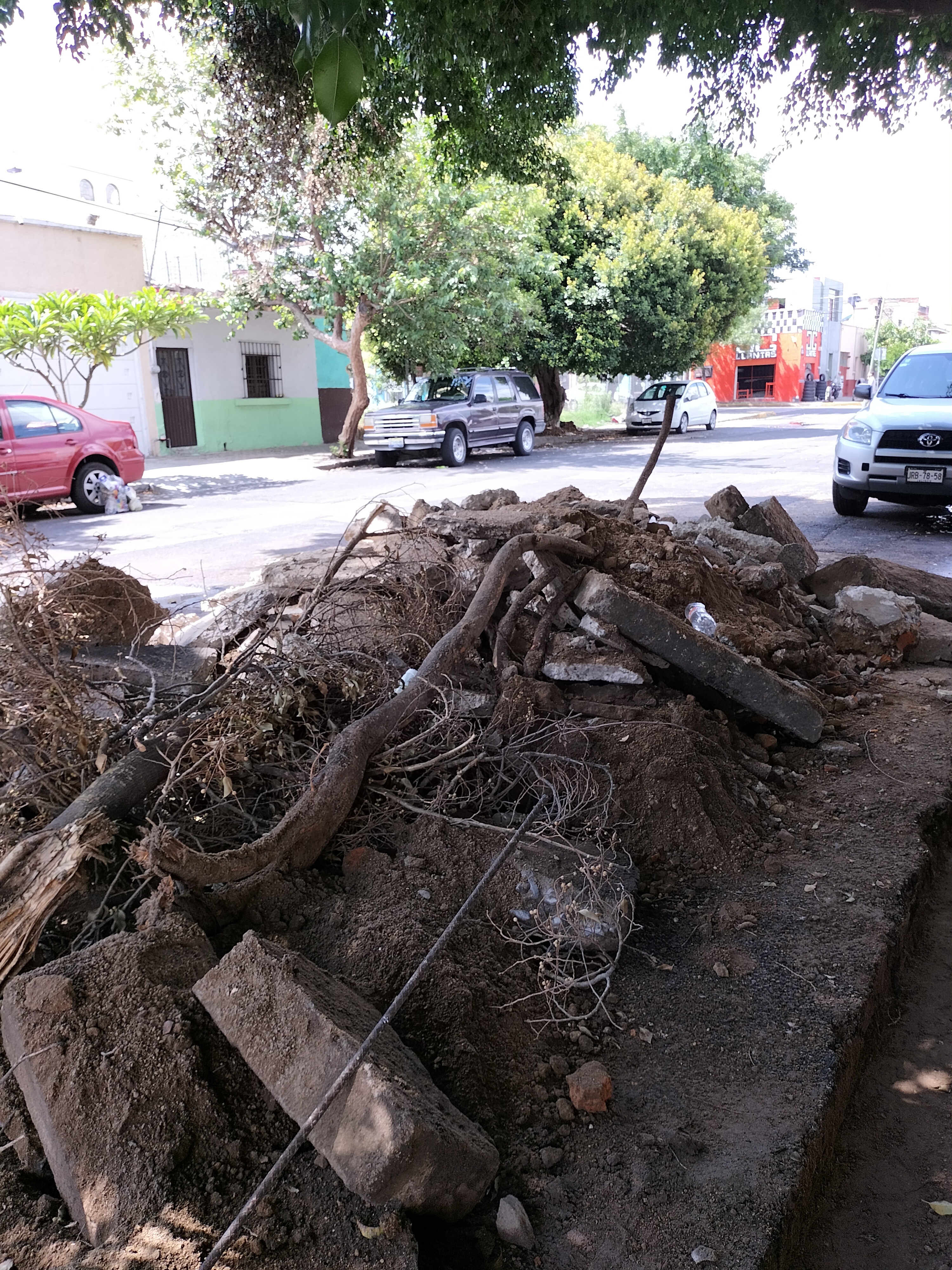 Imagen del proyecto