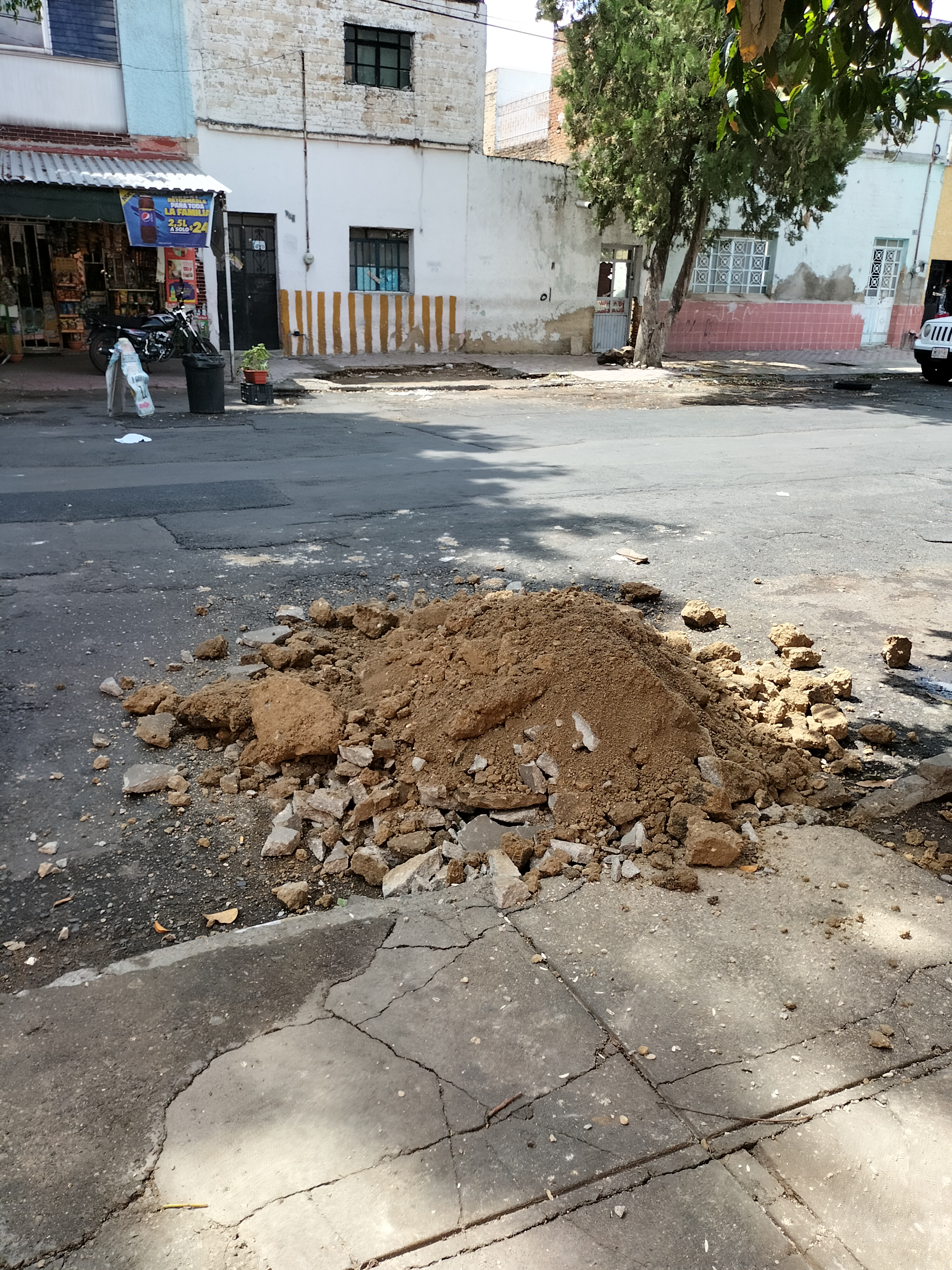 Imagen del proyecto