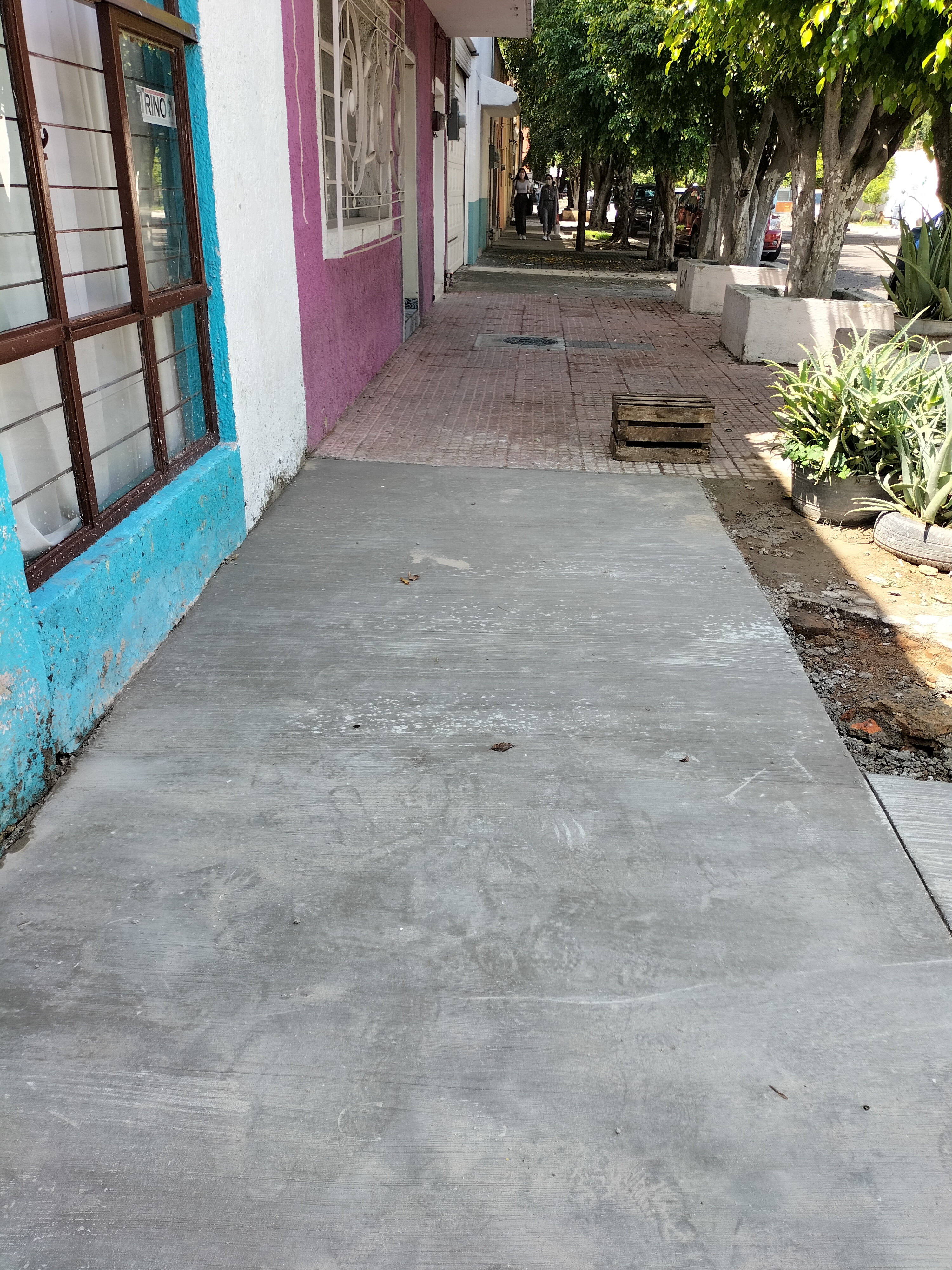 Imagen del proyecto