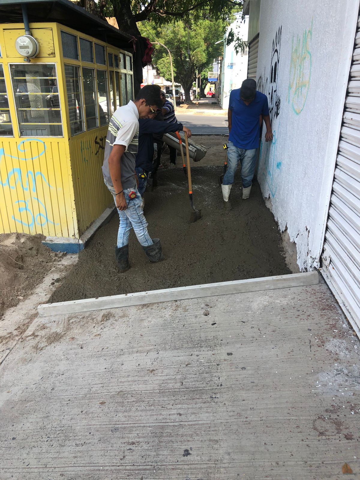 Imagen del proyecto