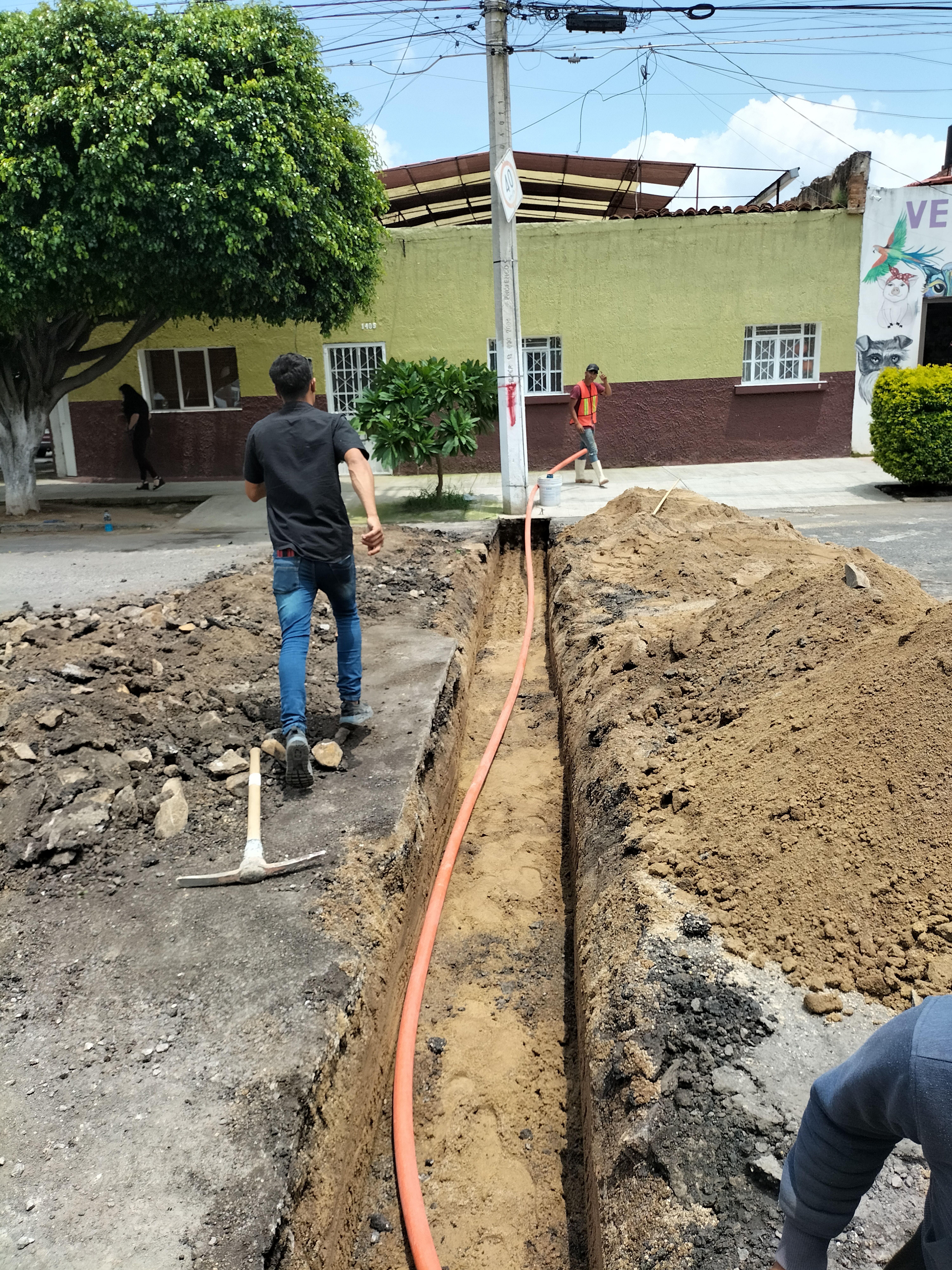 Imagen del proyecto