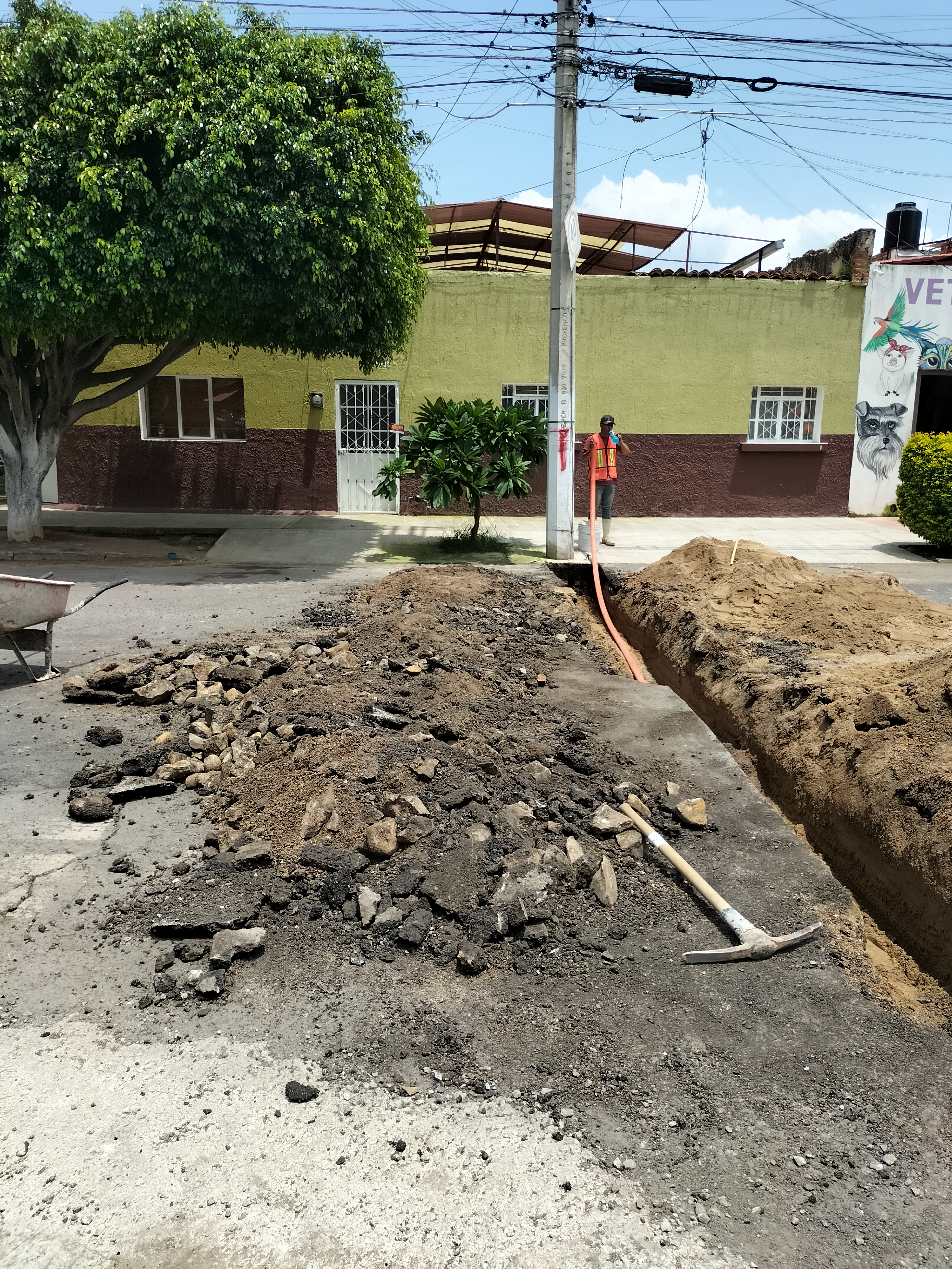 Imagen del proyecto