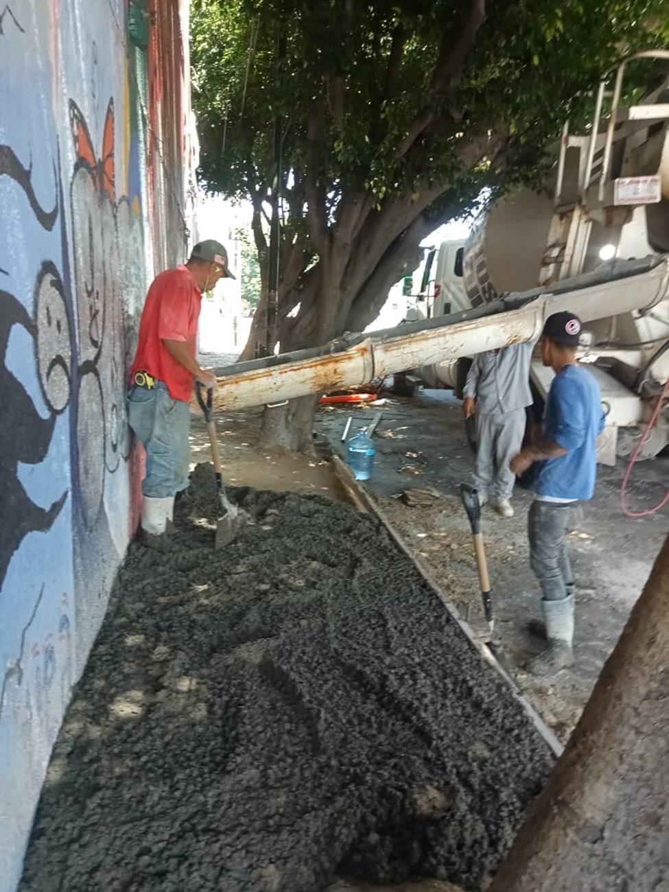 Imagen del proyecto