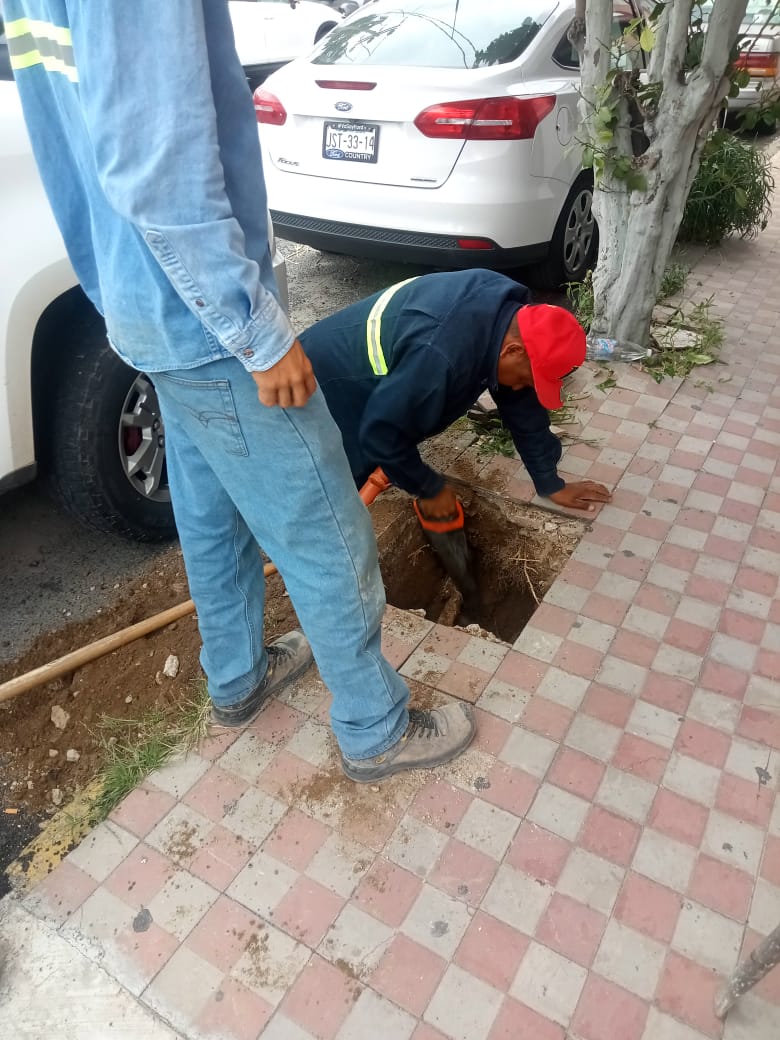 Imagen del proyecto