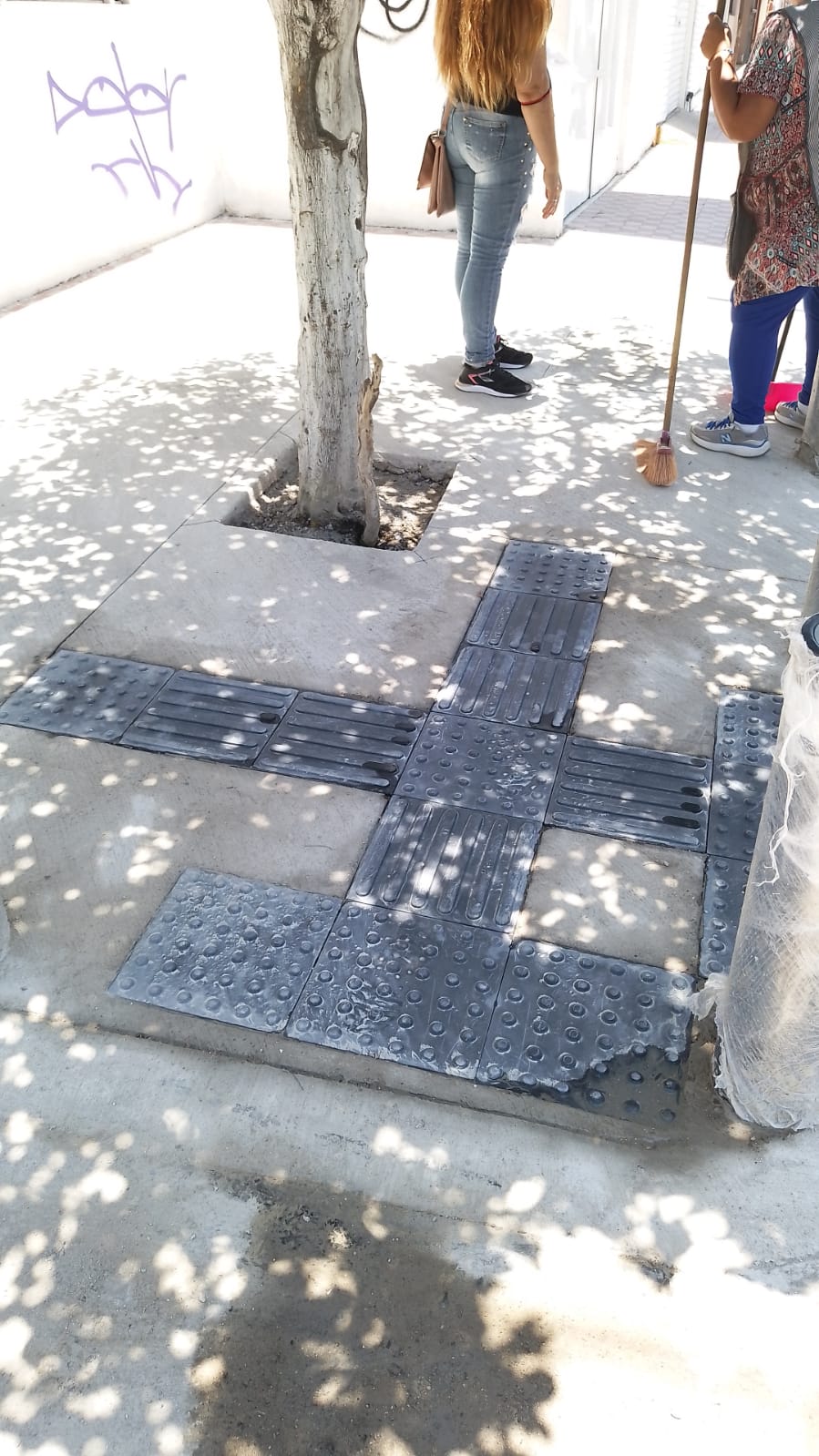 Imagen del proyecto