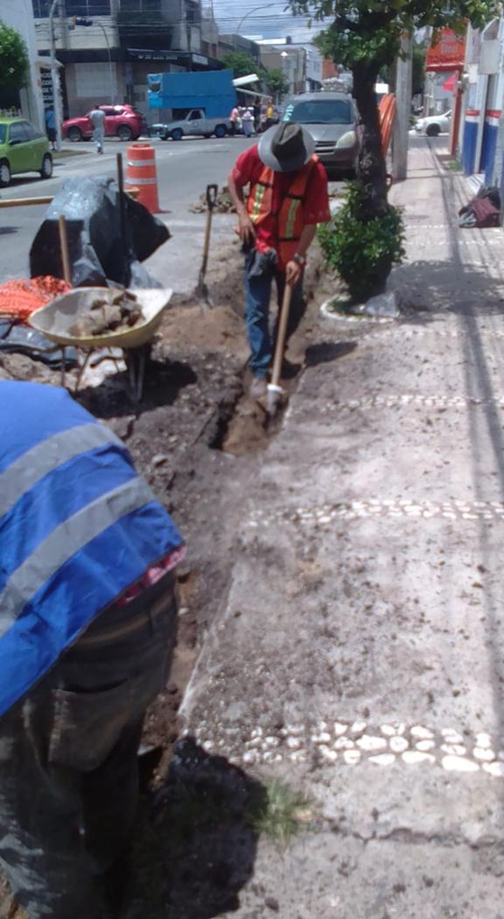 Imagen del proyecto
