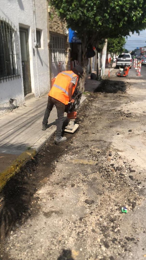 Imagen del proyecto