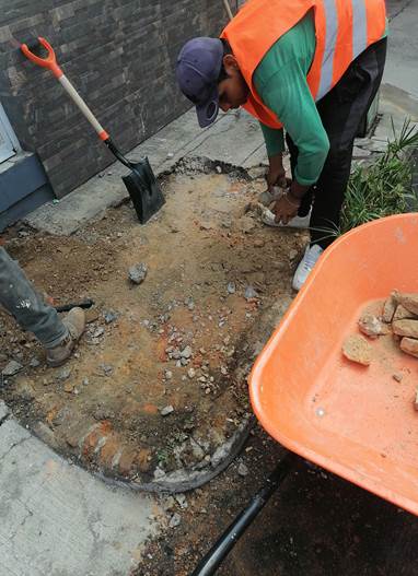 Imagen del proyecto