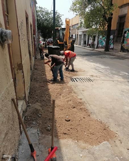 Imagen del proyecto