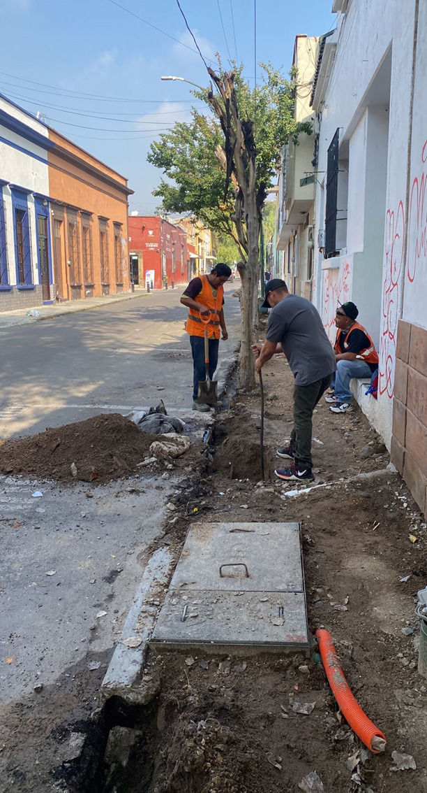 Imagen del proyecto