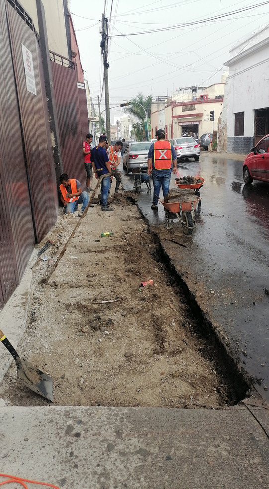Imagen del proyecto