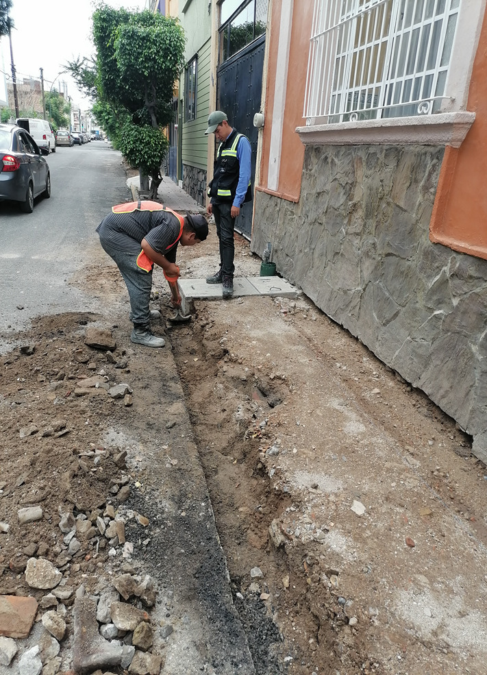 Imagen del proyecto