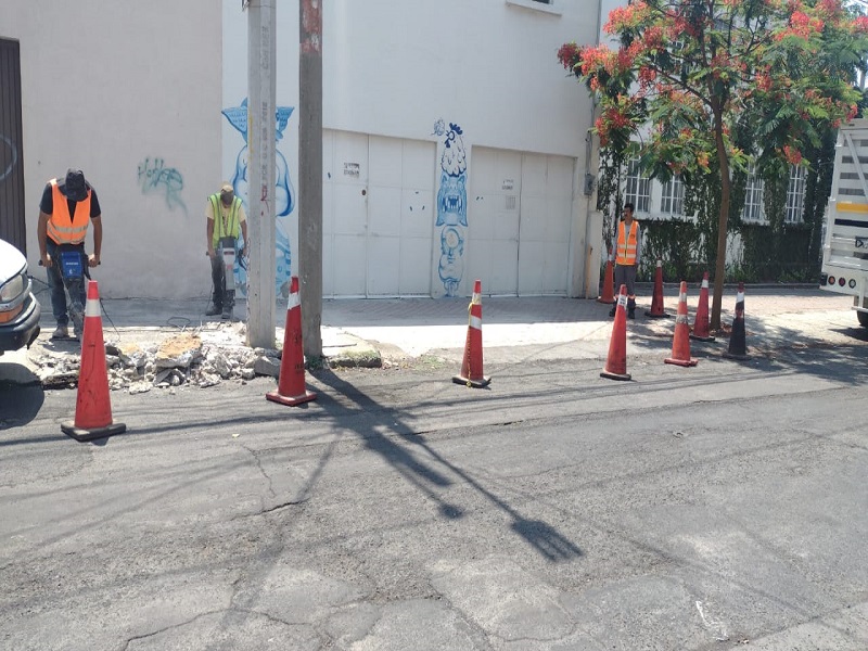 Imagen del proyecto