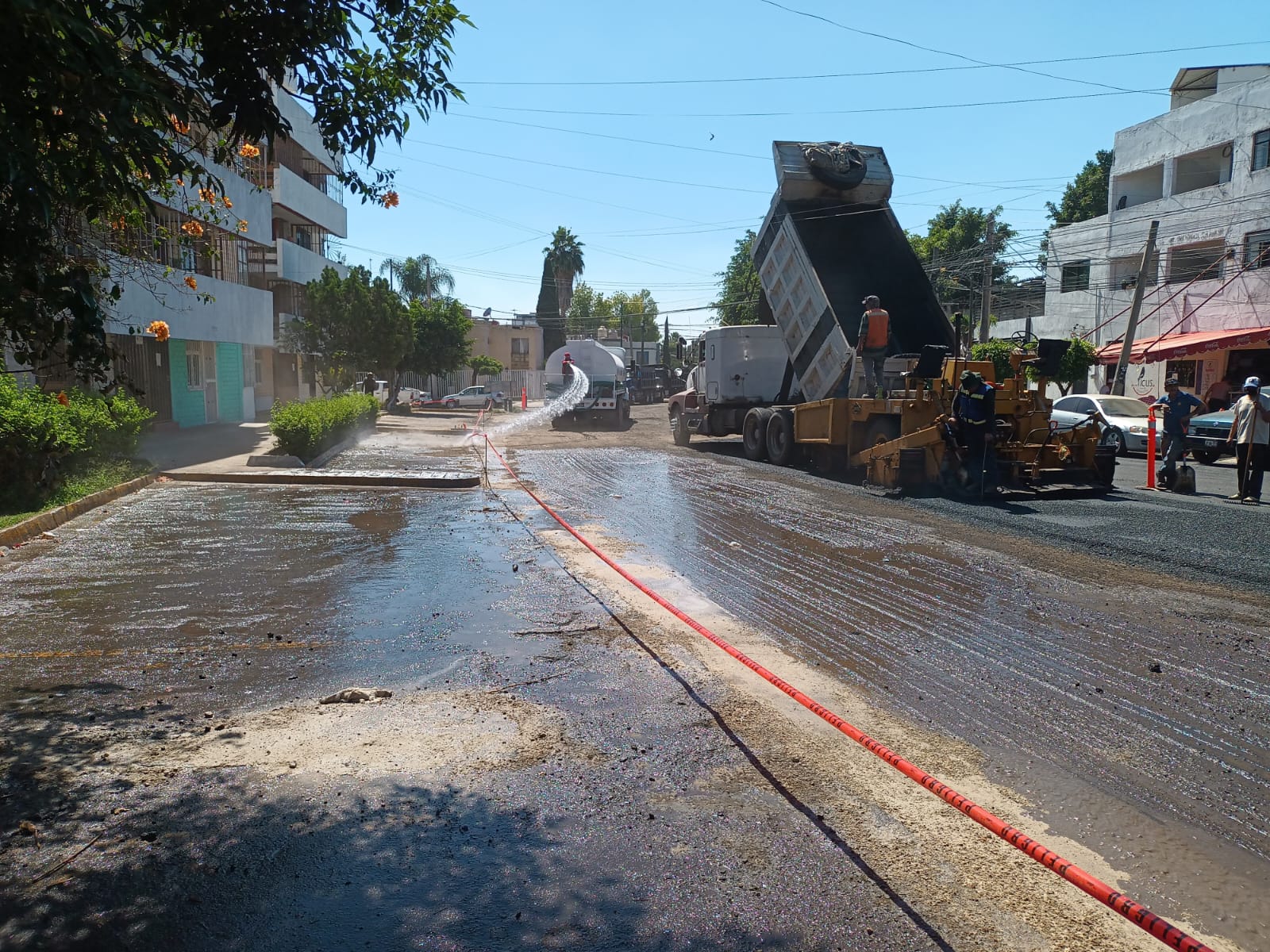 Imagen del proyecto