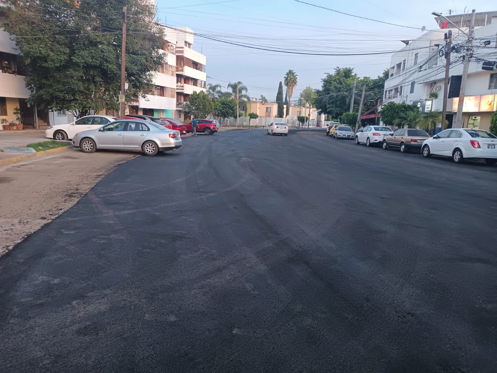 Imagen del proyecto