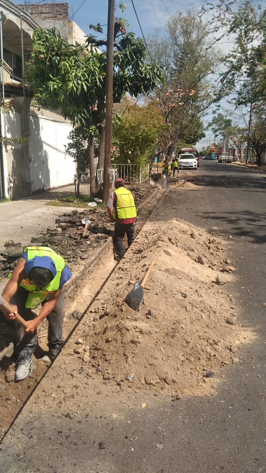 Imagen del proyecto