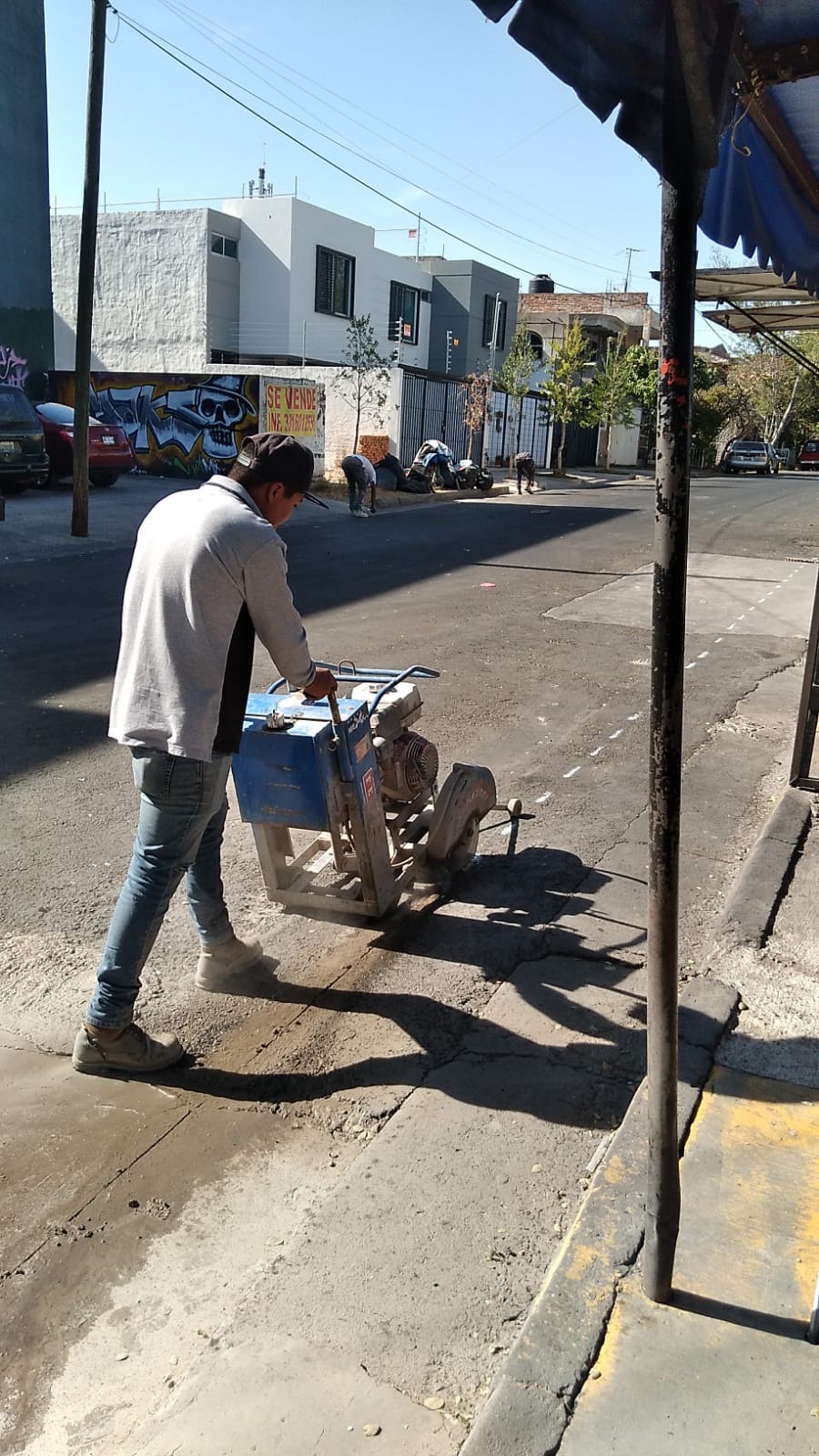 Imagen del proyecto