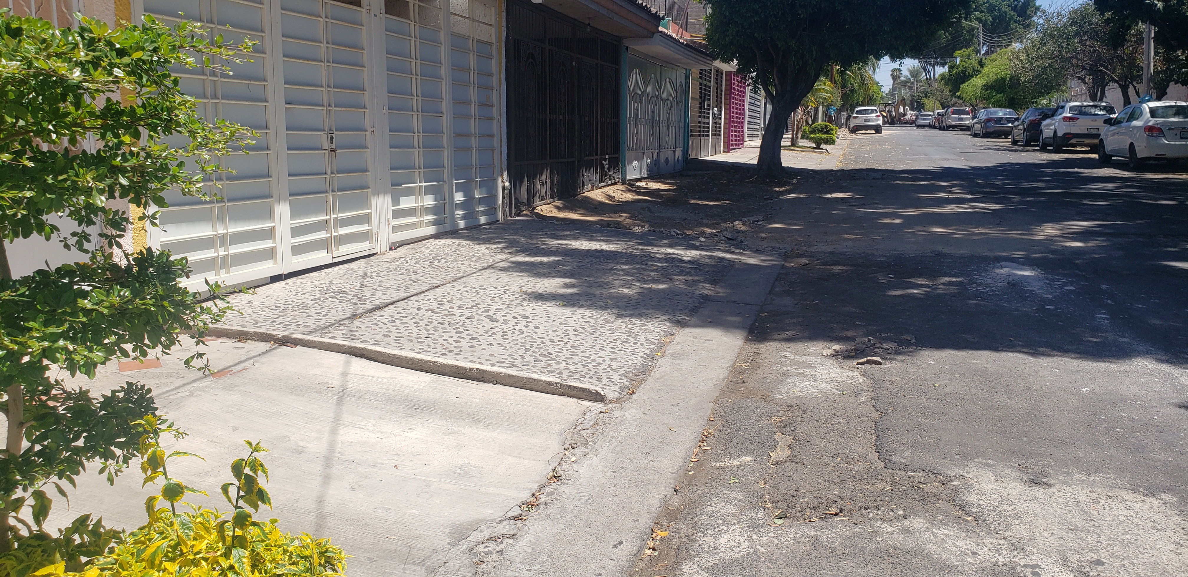 Imagen del Proyecto