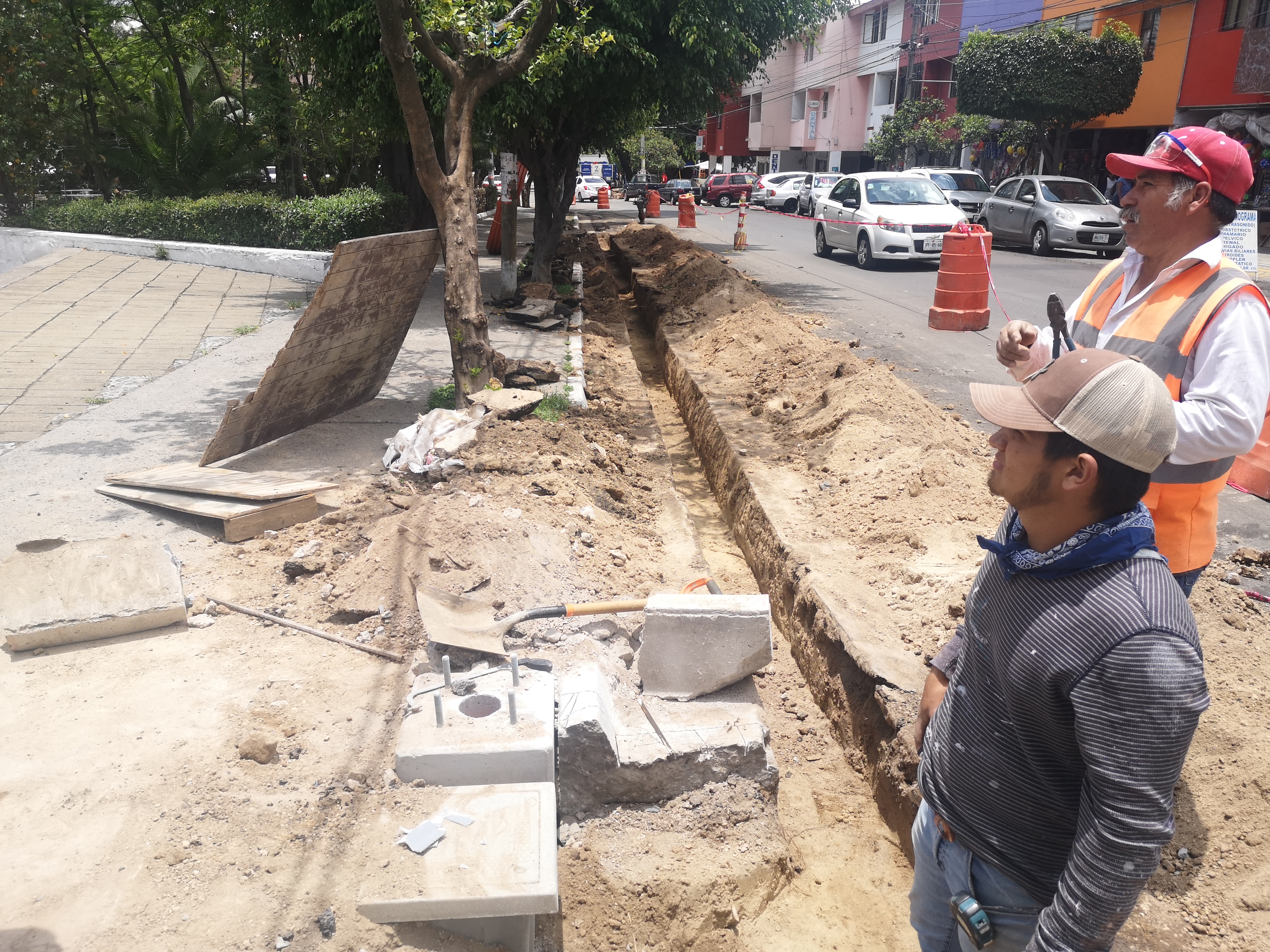 Imagen del proyecto