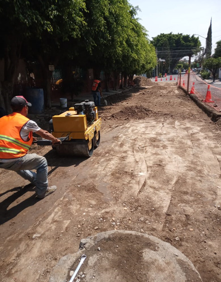 Imagen del proyecto