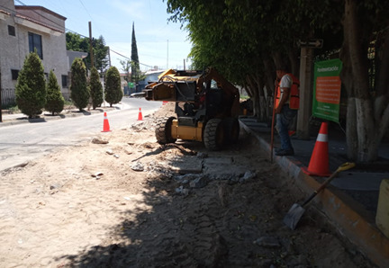Imagen del proyecto