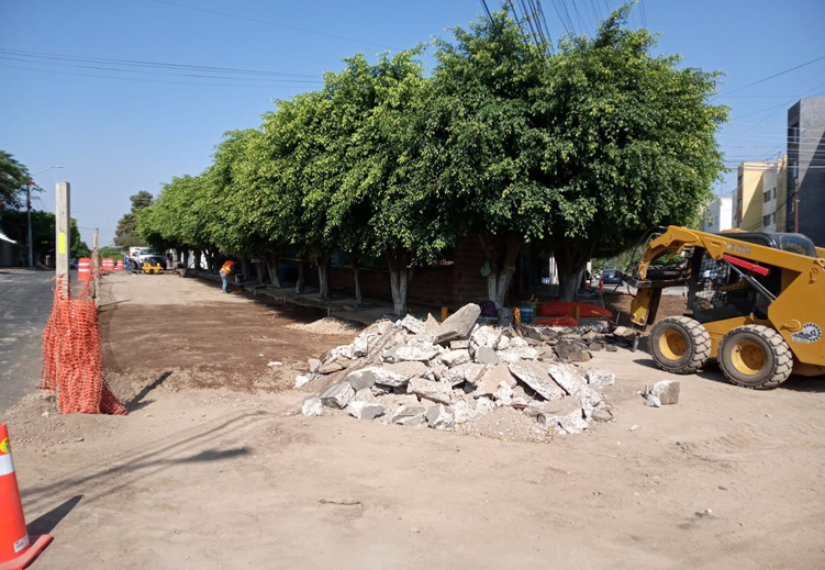 Imagen del proyecto