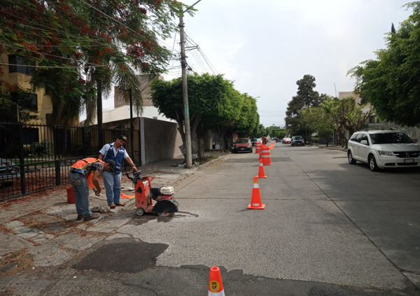 Imagen del proyecto